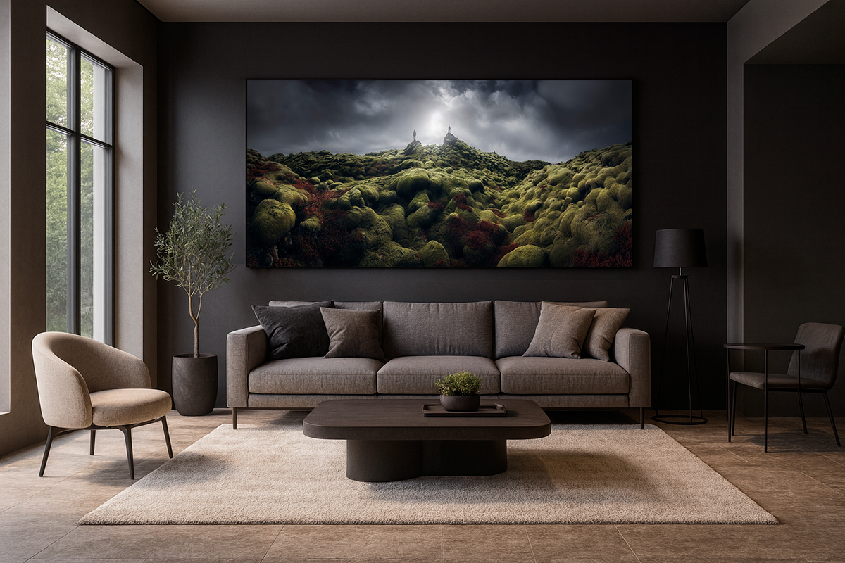 Fine Art Limited Series exhibition